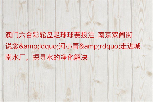 澳门六合彩轮盘足球球赛投注_南京双闸街说念&ldquo;河小青&rdquo;走进城南水厂，探寻水的净化解决