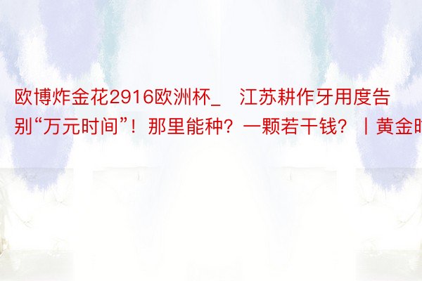 欧博炸金花2916欧洲杯_​江苏耕作牙用度告别“万元时间”！那里能种？一颗若干钱？丨黄金时辰