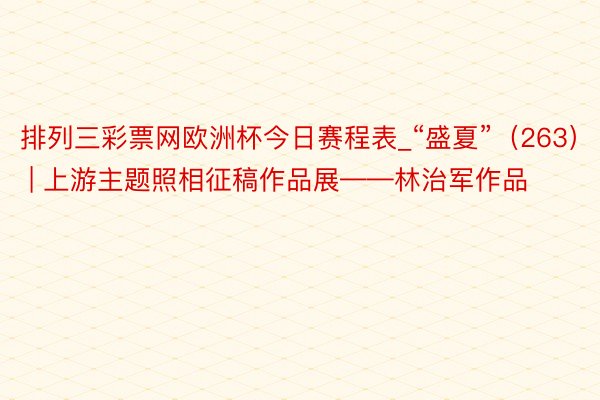 排列三彩票网欧洲杯今日赛程表_“盛夏”（263） | 上游主题照相征稿作品展——林治军作品