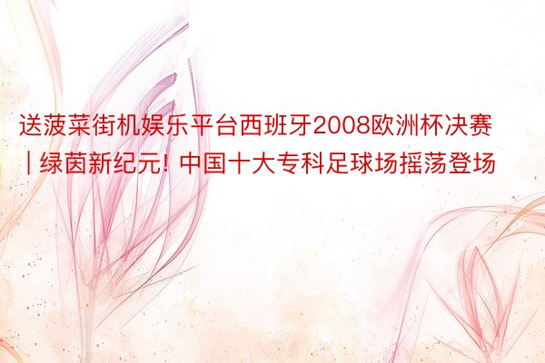 送菠菜街机娱乐平台西班牙2008欧洲杯决赛 | 绿茵新纪元! 中国十大专科足球场摇荡登场